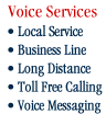 Voice Services