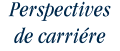 Perspectives de carrihre